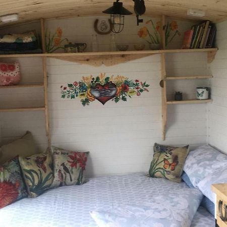 Clydesdale Shepherds Hut Hotell Belfast Exteriör bild