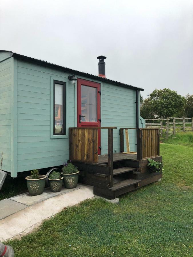 Clydesdale Shepherds Hut Hotell Belfast Exteriör bild