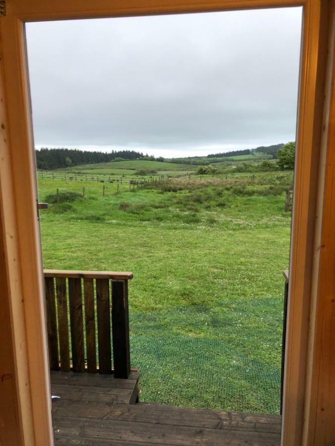 Clydesdale Shepherds Hut Hotell Belfast Exteriör bild