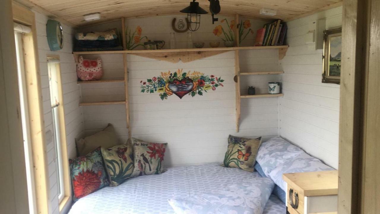 Clydesdale Shepherds Hut Hotell Belfast Exteriör bild